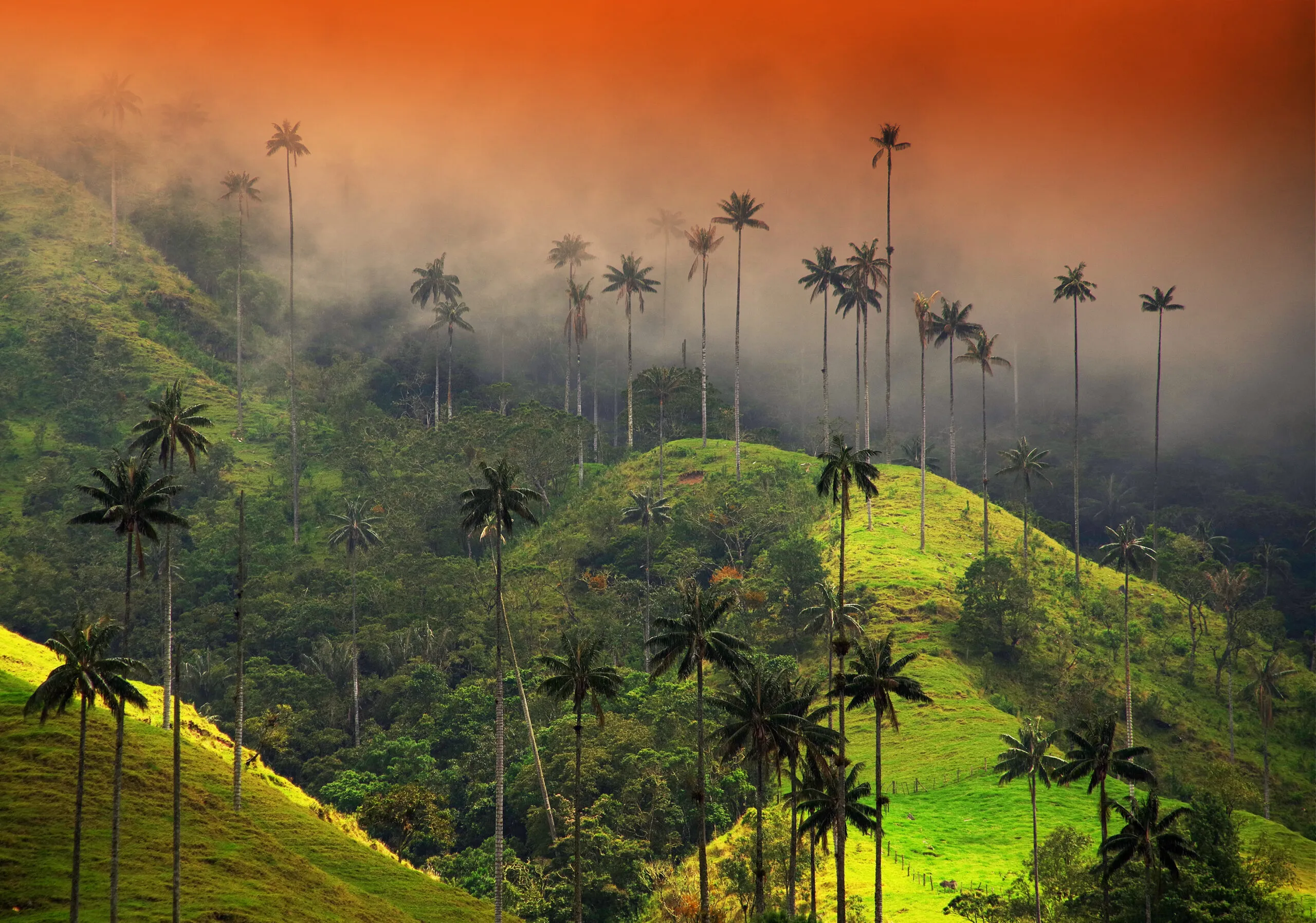 Salento i Valle de Cocora